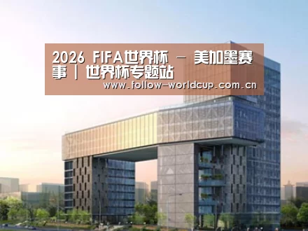 案例展示四