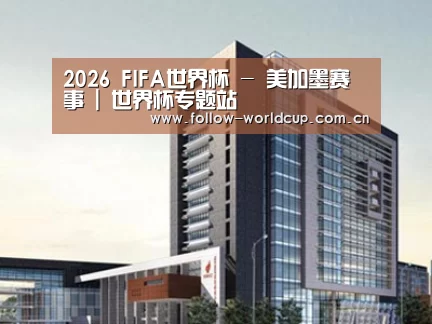 案例展示七