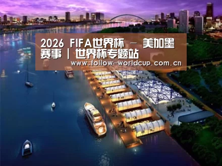 案例展示八