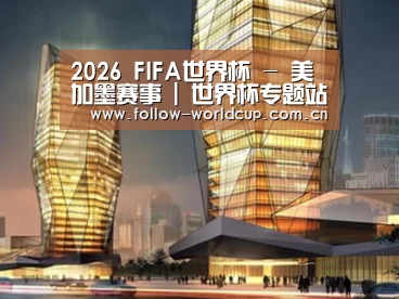 案例展示三