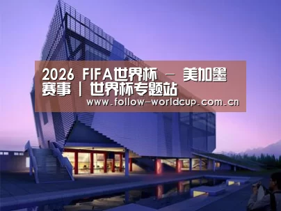 案例展示六