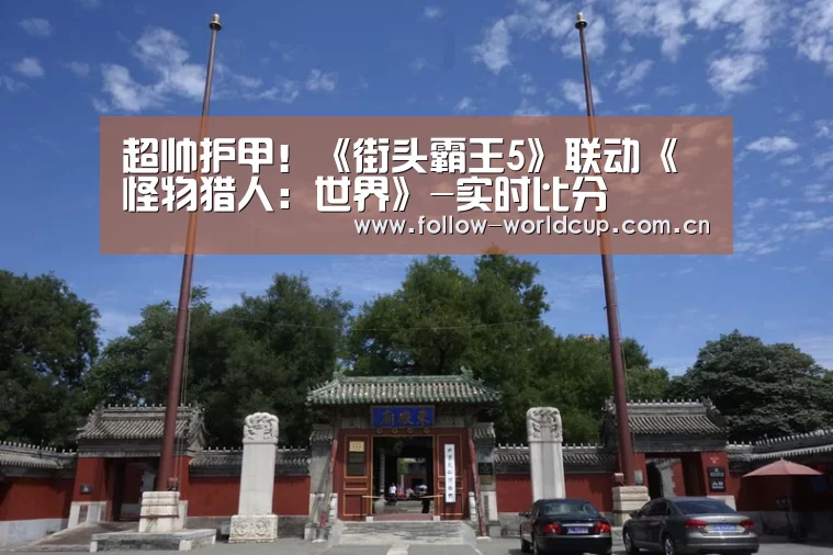 超帅护甲!《街头霸王5》联动《怪物猎人:世界》-实时比分(图2) 国际足联世界杯