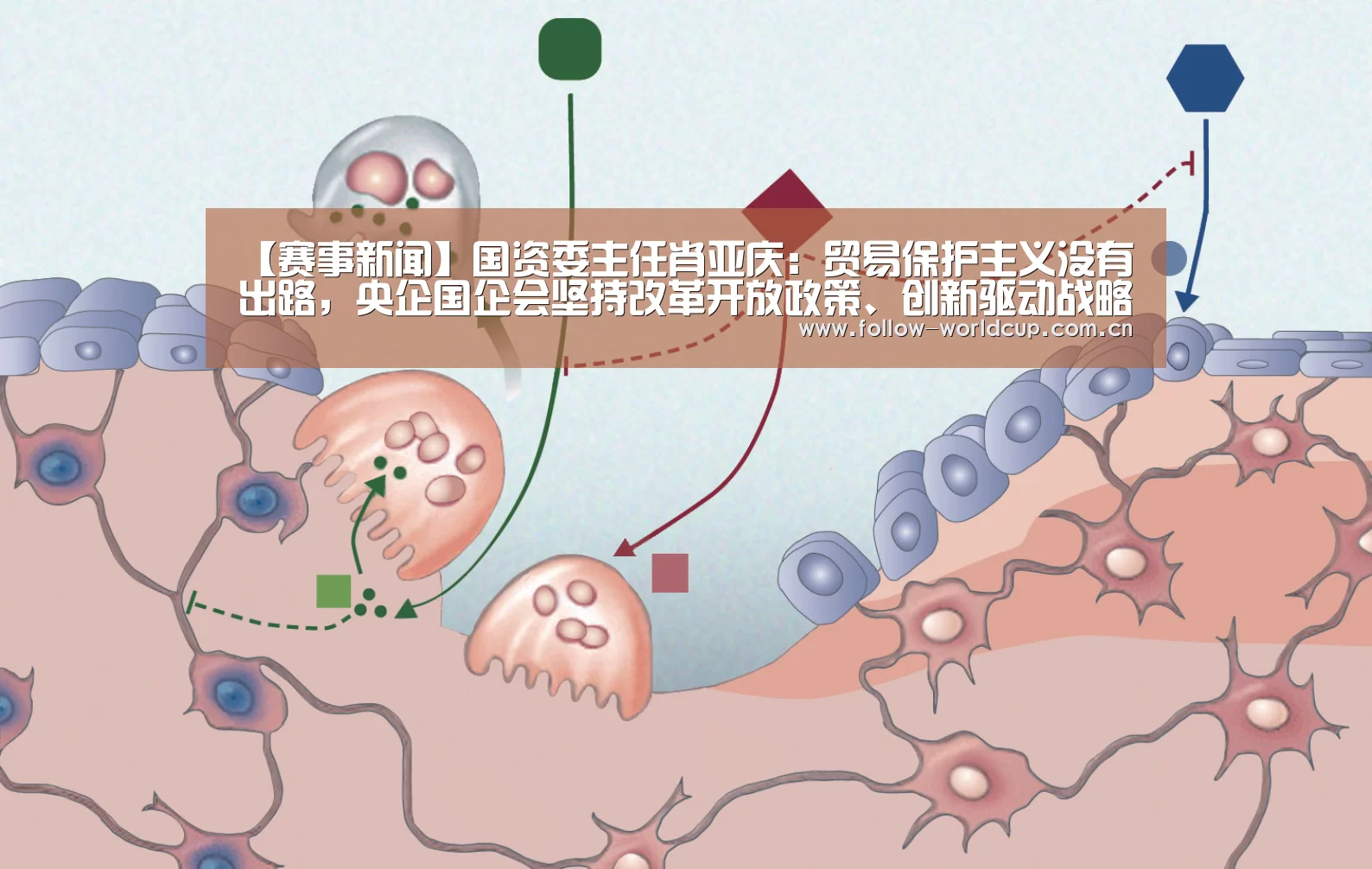 【赛事新闻】国资委主任肖亚庆:贸易保护主义没有出路,央企国企会坚持改革开放政策、创新驱动战略不动摇(图3) 实时比分