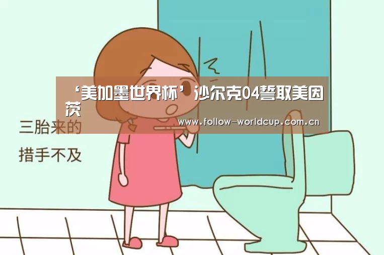 ‘美加墨世界杯’沙尔克04誓取美因茨(图4) 赛事新闻