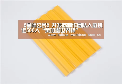 《星际公民》开发商制作团队人数接近500人“美加墨世界杯”(图2) 国际足联世界杯