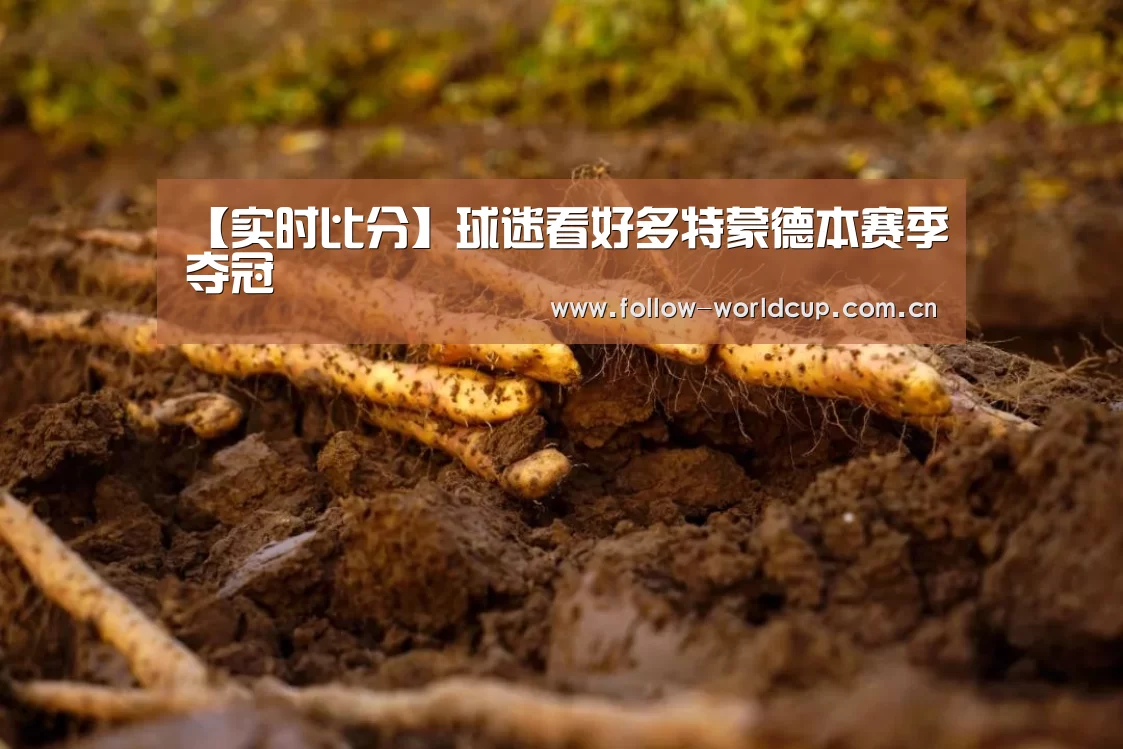 赛事新闻