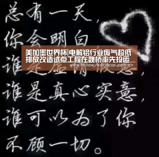 美加墨世界杯