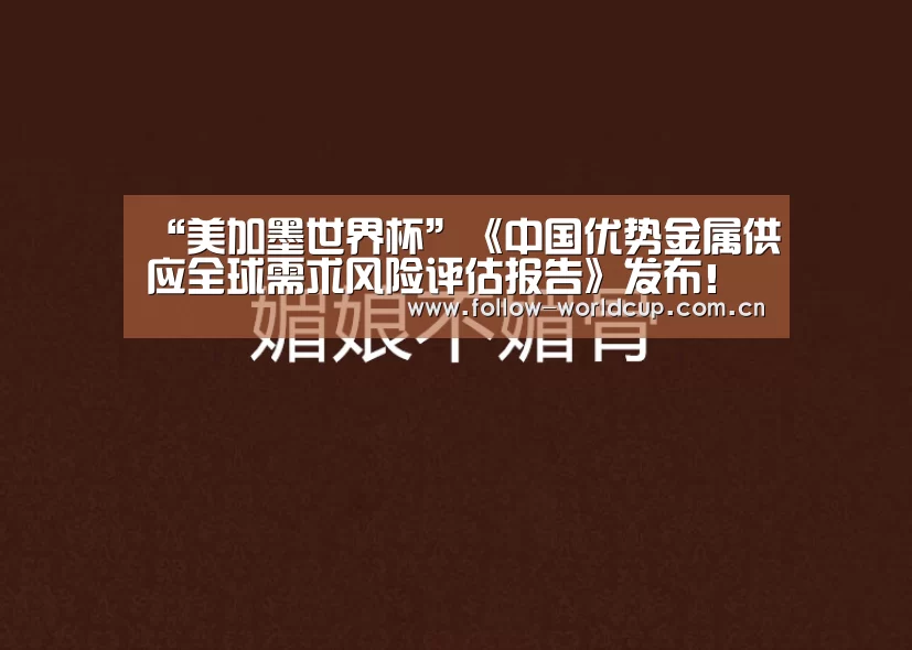 “美加墨世界杯”《中国优势金属供应全球需求风险评估报告》发布!有色从业者必知(图3) 美加墨世界杯