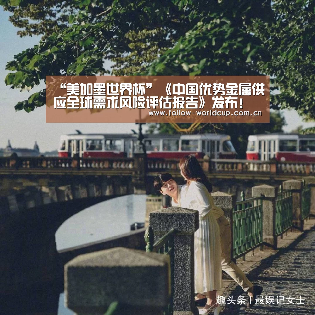 “美加墨世界杯”《中国优势金属供应全球需求风险评估报告》发布!有色从业者必知(图2) 国际足联世界杯