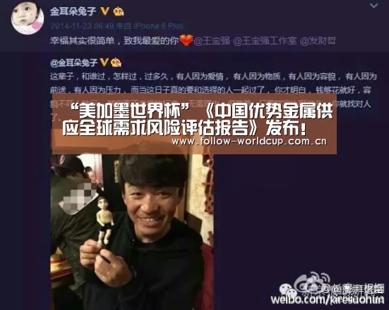 “美加墨世界杯”《中国优势金属供应全球需求风险评估报告》发布!有色从业者必知(图1) 国际足联世界杯