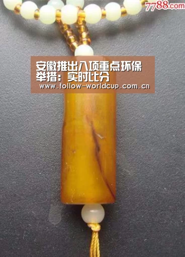 国际足联世界杯