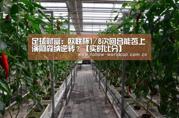 足球财富:欧联杯1/8次回合能否上演阿森纳逆转?【实时比分】(图3) 实时比分