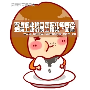 美加墨世界杯