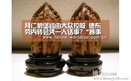 拜仁狼堡皆由大众控股 德布劳内转会凭一人话事?“赛事新闻”(图4) 美加墨世界杯