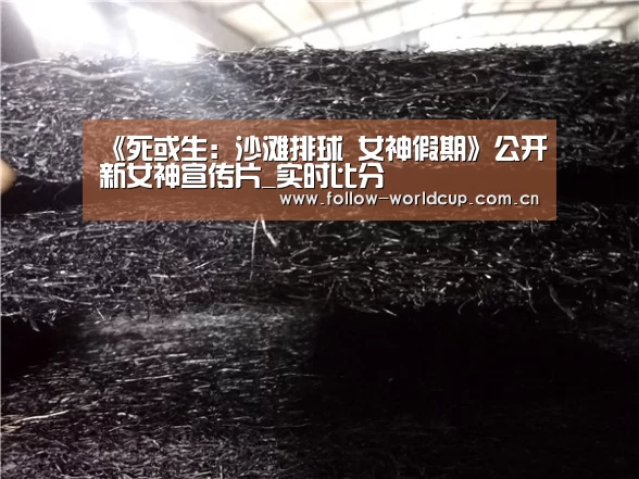 《死或生:沙滩排球 女神假期》公开新女神宣传片_实时比分(图1) 国际足联世界杯