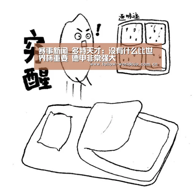 国际足联世界杯