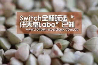 Switch全新玩法“任天堂Labo”已知情报汇总:实时比分(图3) 实时比分