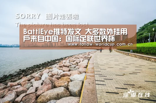 BattlEye推特发文 大多数外挂用户来自中国:国际足联世界杯(图4) 赛事新闻