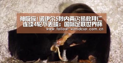 神反应!诺伊尔5秒内两次拯救拜仁 连续4轮不丢球:国际足联世界杯(图3) 赛事新闻
