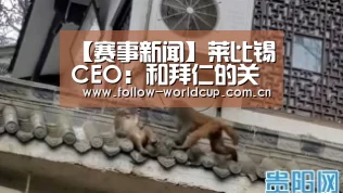 美加墨世界杯