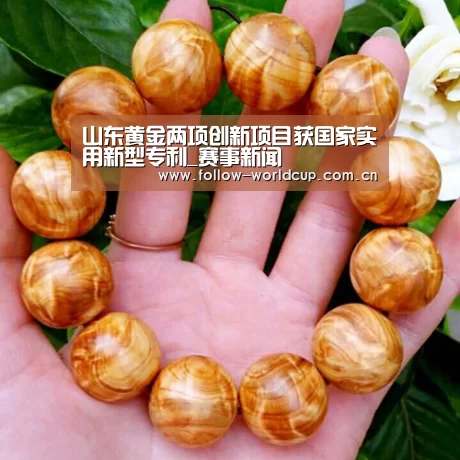 国际足联世界杯