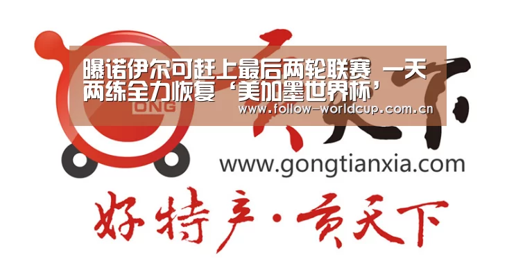 曝诺伊尔可赶上最后两轮联赛 一天两练全力恢复‘美加墨世界杯’(图3) 实时比分